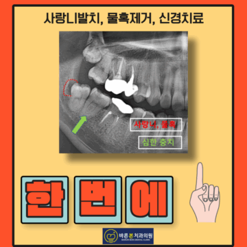 매교역치과