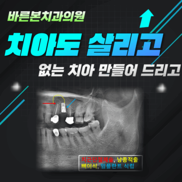 매교역치과
