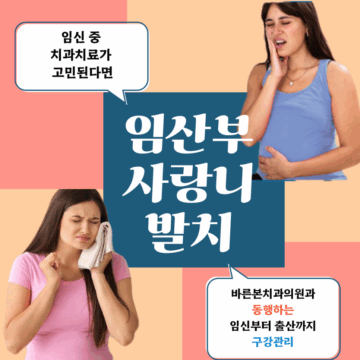 매교동치과