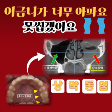 매교역치과
