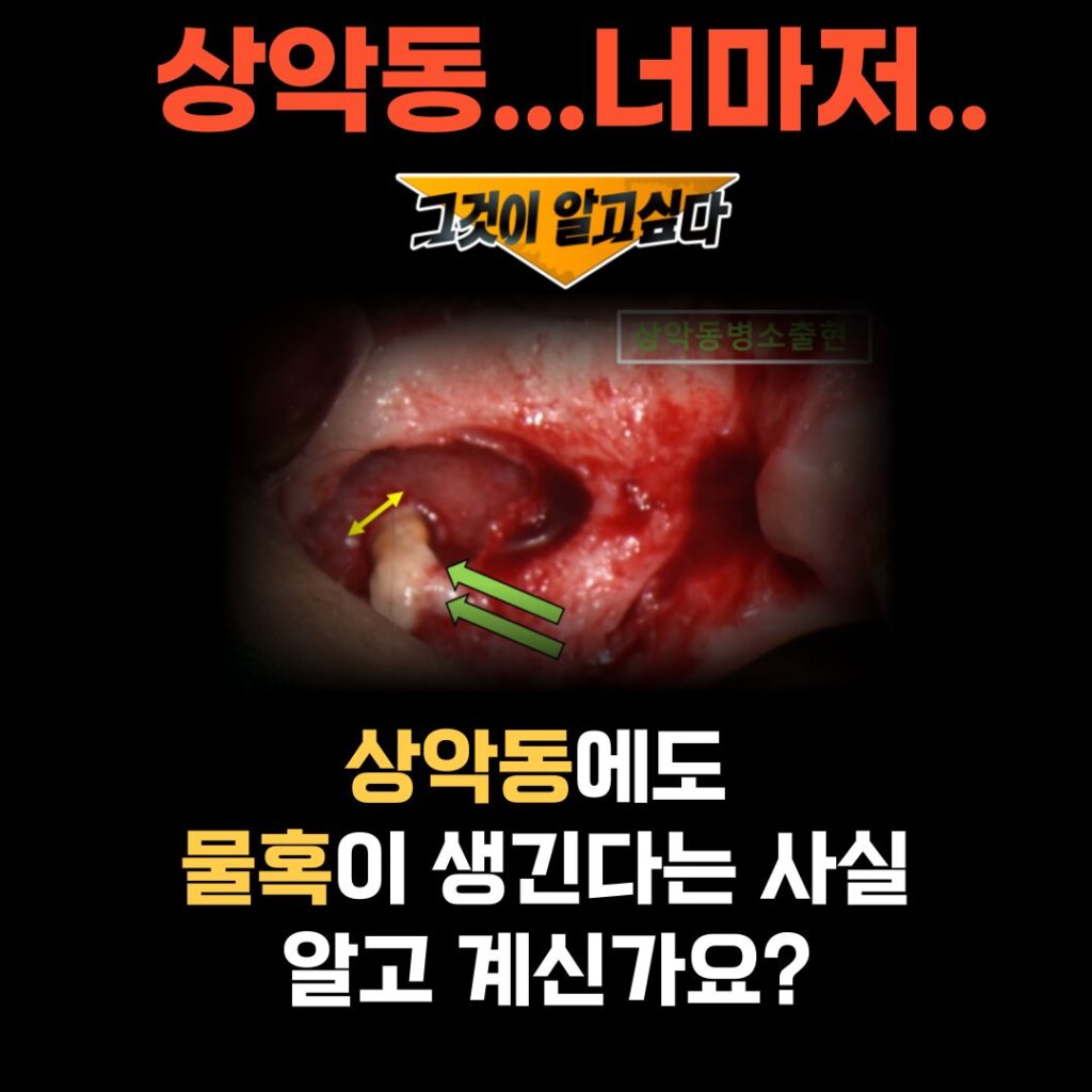 수원시청치과