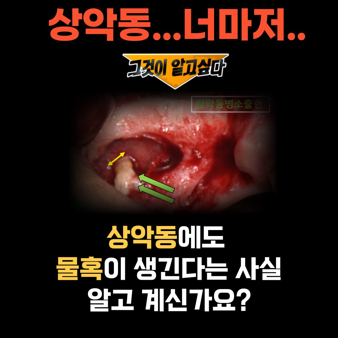 수원시청치과