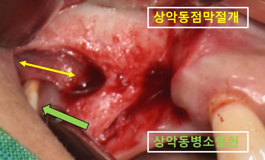 수원시청치과