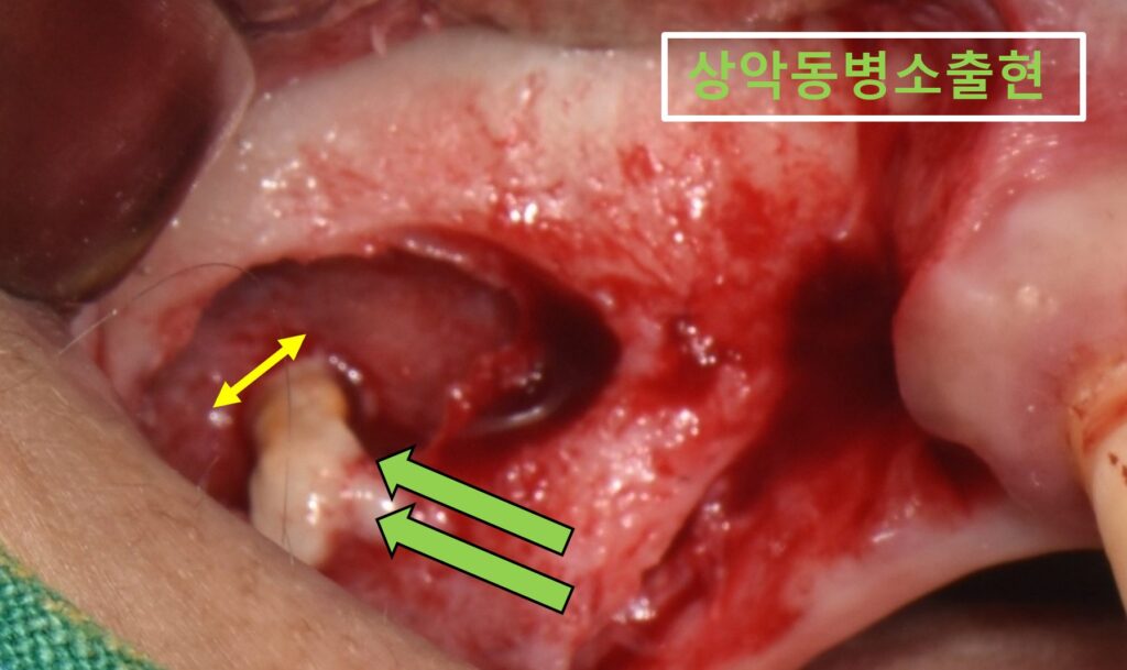수원시청치과