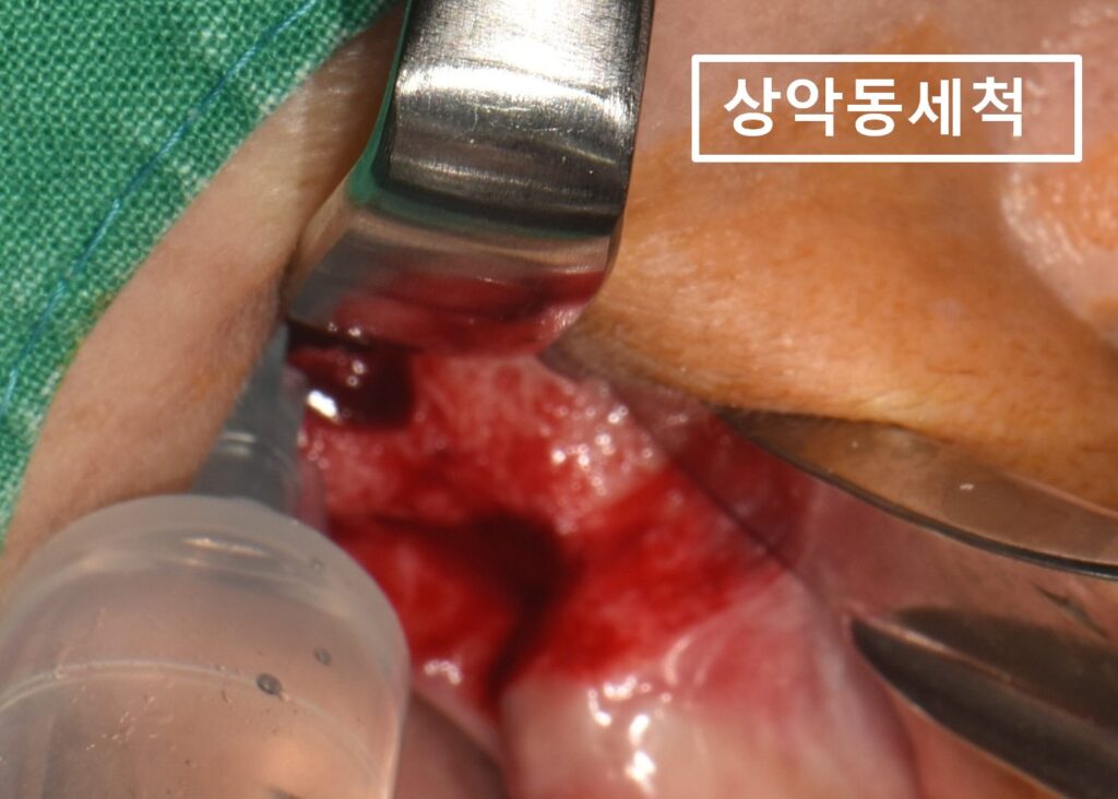 수원시청치과