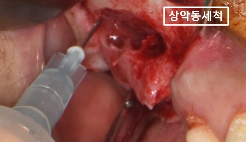 수원시청치과