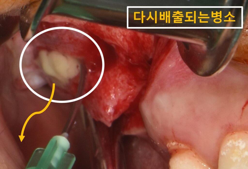 수원시청치과