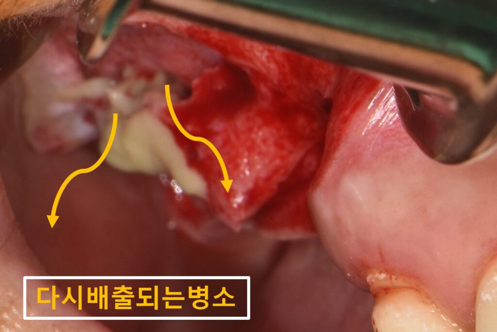 수원시청치과