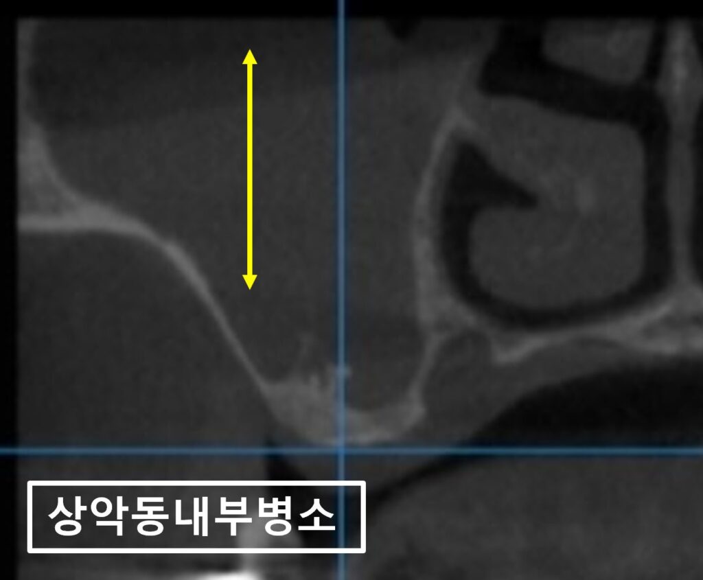 수원시청치과