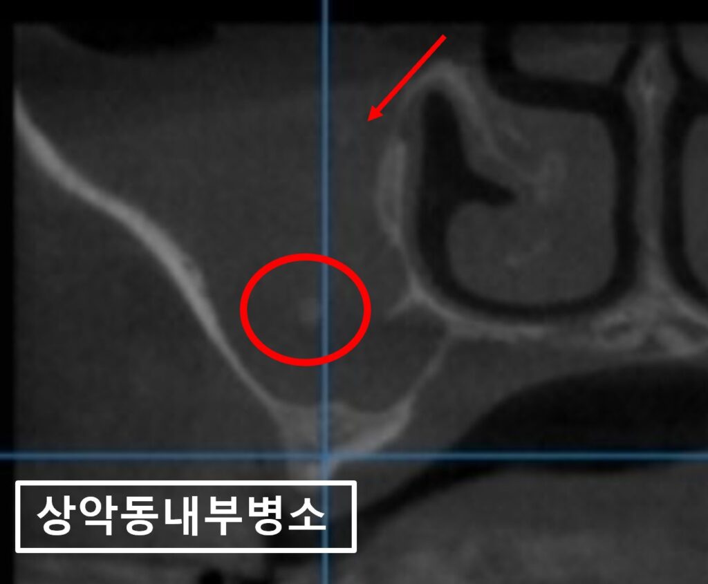 수원시청치과